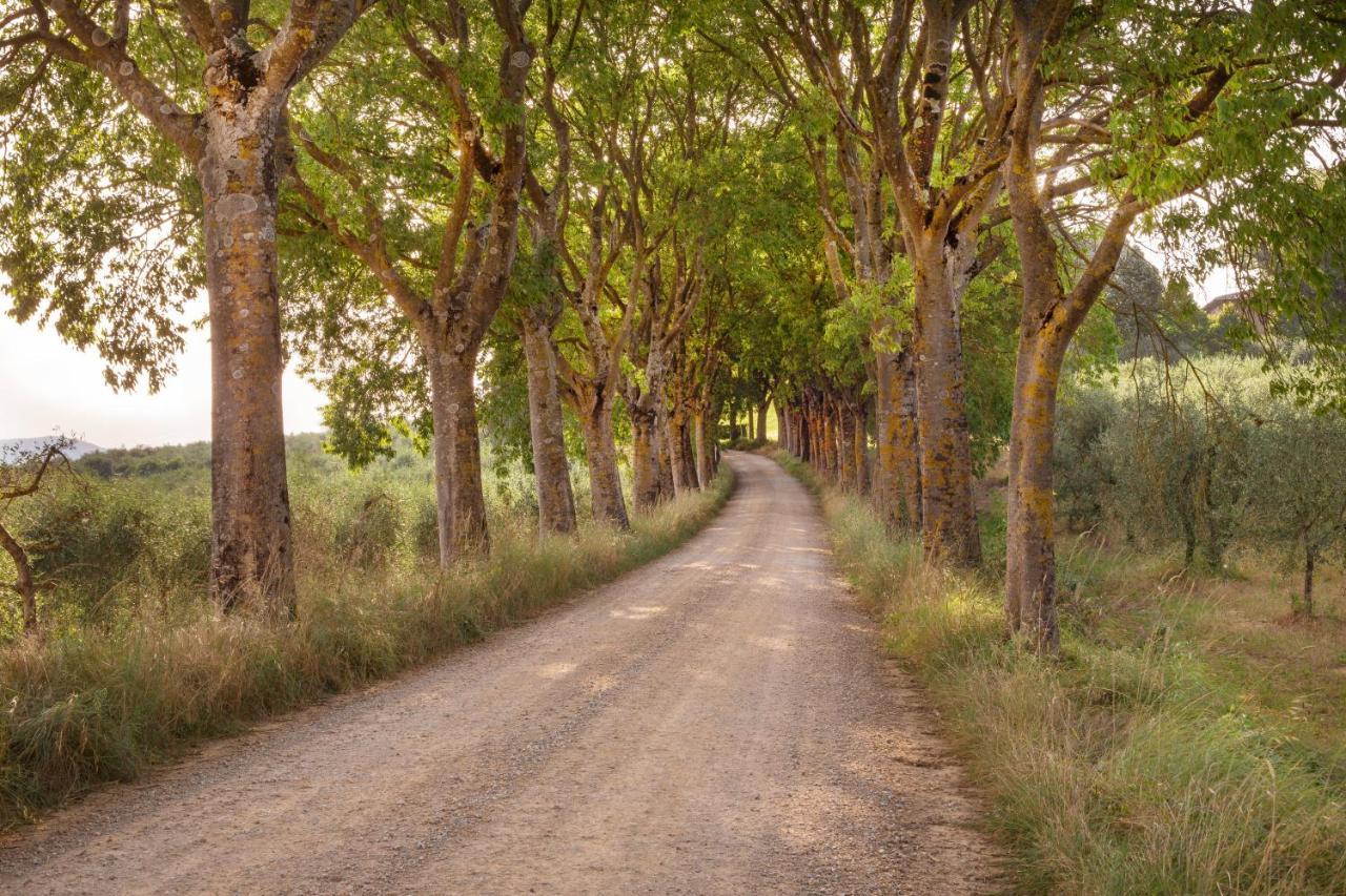 Borgo Villa Certano - Case Vacanza In Toscana Siena Kültér fotó